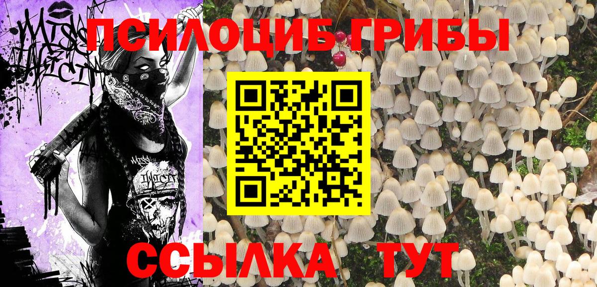 Барабинск  Галлюциногенные грибы Psilocybine cubensis  сколько стоит  Вход с VPN 