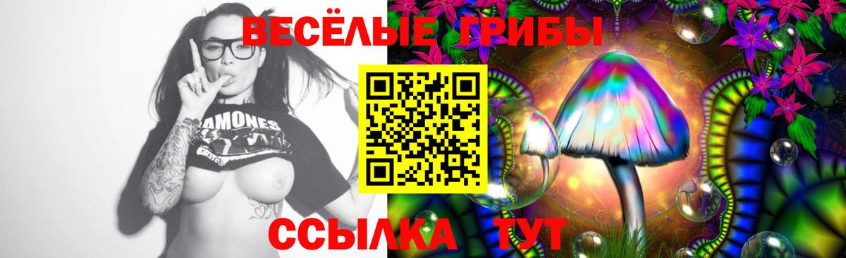 Галлюциногенные грибы ЛСД Барабинск